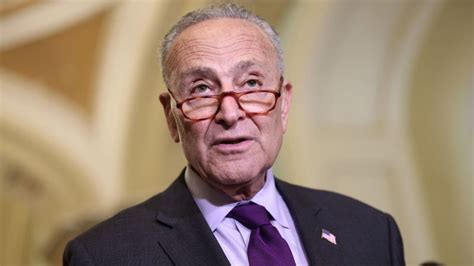 Schumer Promises Senate Vote On Same Sex Marriage Bill ‘in The Coming Weeks Cnn Politics