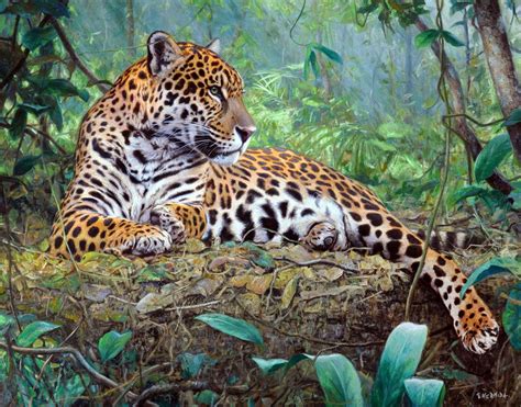 Gabriel Hermida Pinturas Jaguar Animal Big Cats Art Animal Art