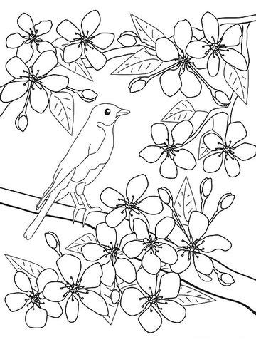 You can print all spring coloring pages for free. Printable Spring Coloring Pages