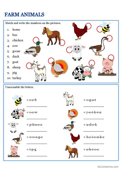 Farm Animals Vocabulary Exercise Fo English Esl Worksheets Pdf And Doc