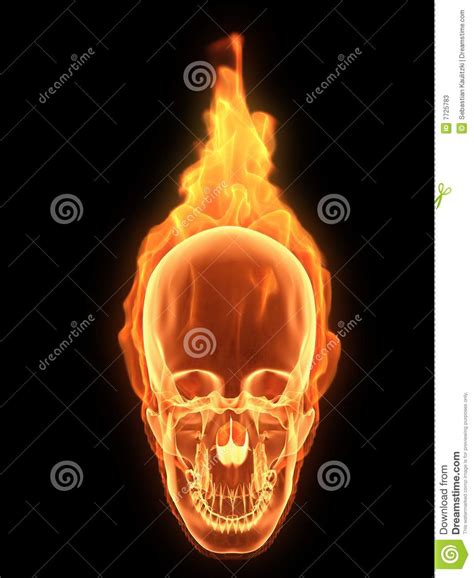 Scull On Fire Stock Illustration Illustration Of Bone