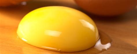 It also exfoliates your tresses while strengthening the color of your hair and maintaining the texture. Olive Oil and Egg Yolk for Thinning, Loss of Hair. Thick ...