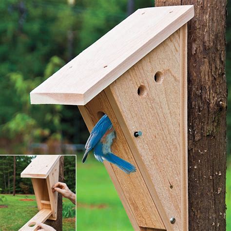 Eastern Bluebird Nest Box State Of Tennessee Wildlife Resources Agency