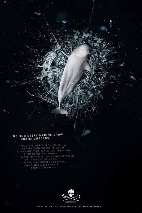 Sea Shepherd Conservation Society Nanuq