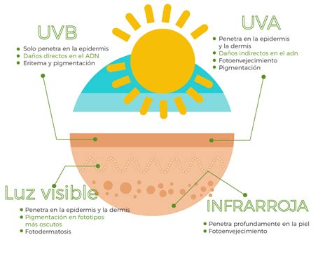 Radiación Solar ¿qué Efectos Tiene En La Piel Bellefarma