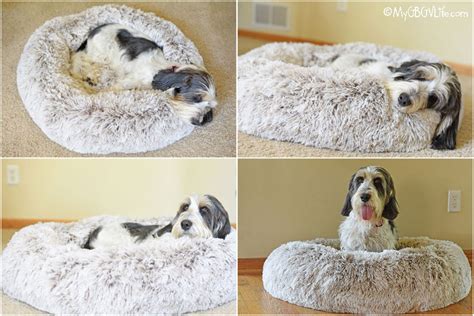 It's time to get your best furry friend a luxurious bed of their own. Comfy, Cozy, Calming Dog Donut Bed - My GBGV Life