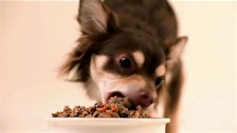 The farmer's dog currently offers four dog food recipes: The Farmer's Dog TV Commercial, 'Developed With Vets: 50 ...