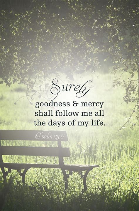 Goodness And Mercy