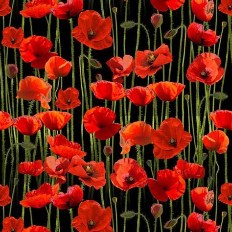 Brememberingred Poppies Allover Dark7117 Hunters And Collectors B