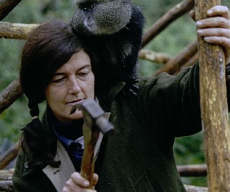 Genitive singular form of dia. Dian Fossey Biography - Facts, Childhood, Family Life ...