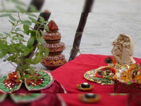 Tulsi Vivah 2022 When Is Tulsi Vivah Know Date Worship Method