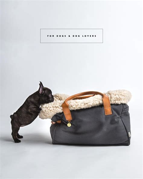 These efforts resulted in this guide, called the. BEAUTIFUL ACCESSORIES FOR DOGS AND DOG LOVERS - 79 ideas