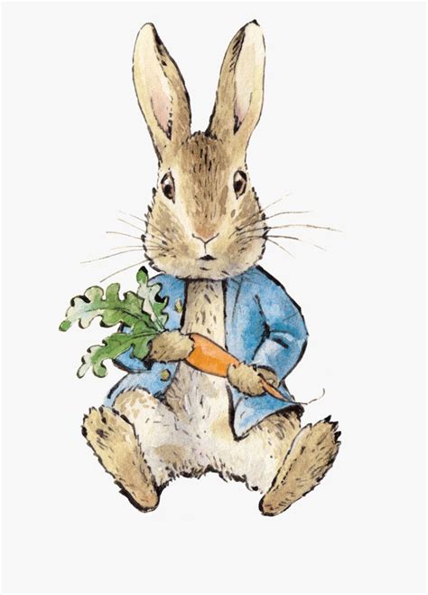 Peter Rabbit Illustration Rabbit Illustration Peter Rabbit And Friends