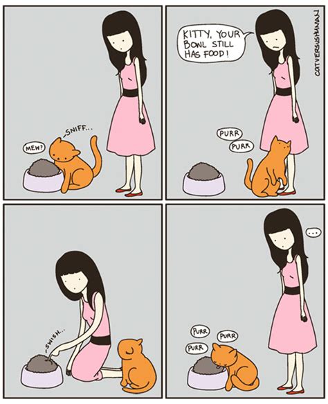 14 hilarious comics that perfectly capture life with cats we love cats and kittens