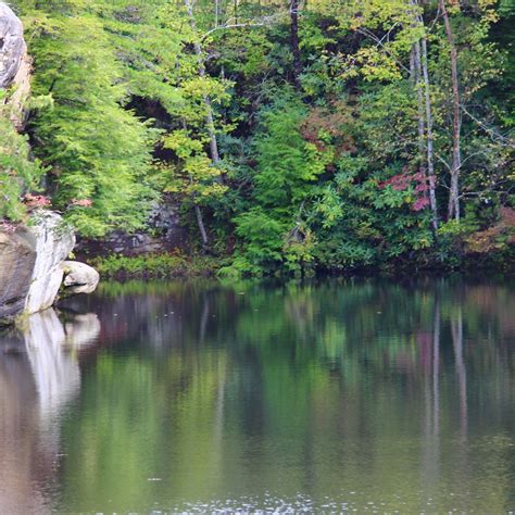 Pickett CCC Memorial State Park (Jamestown) - All You Need to Know