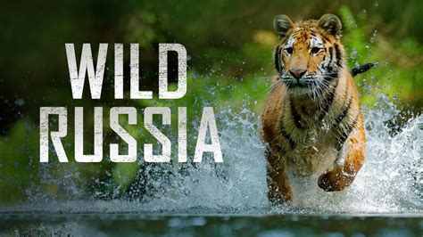 Wild Russia On Apple Tv