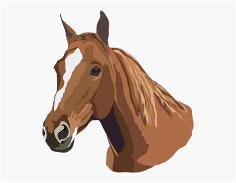 Horse Studying Clip Art Horses Head Free Transparent Clipart