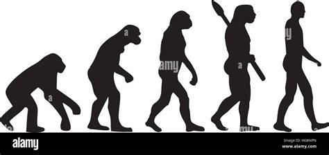 Darwin Evolution Of Human Stock Vector Image And Art Alamy