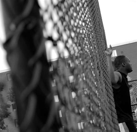 Riding The Fence Bridgette Wynn Flickr