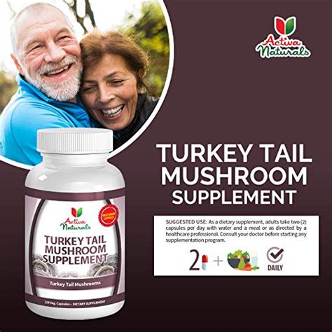turkey tail mushroom supplement 120 veg capsules with coriolus versicolor mushrooms pricepulse