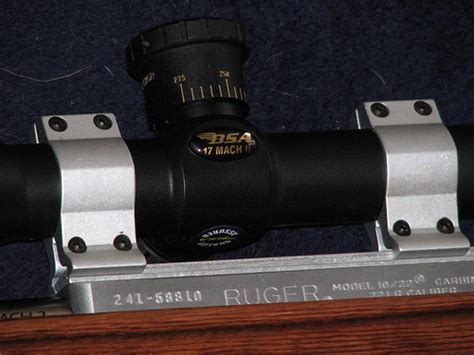 The 5 Best Scopes For 17 Hmr Rifles — Reviews 2019