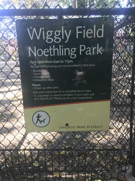 Chicago Has A Dog Park Called Wiggly Field Just A Couple Of Blocks