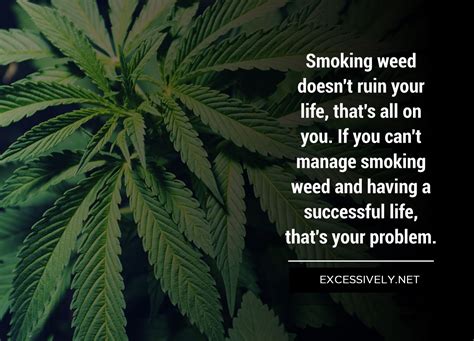 50 Of The Best Weed Quotes And Sayings Page 4 Of 5 Excessively