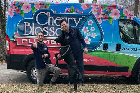Cherry Blossom Plumbing Voted The Best Plumber In Arlington And Falls