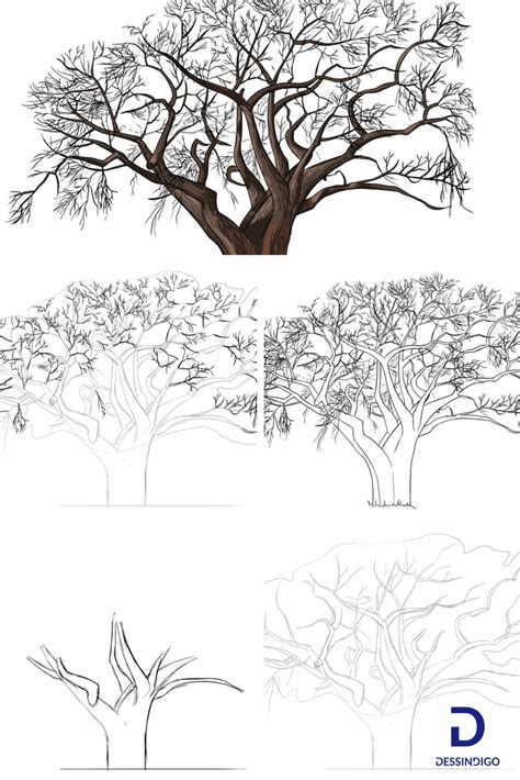 Suart86 all rights reserved (p) & (c) suart86 2015. Comment dessiner un arbre (avec images) | Comment dessiner un arbre, Dessin arbre, Dessin arbre ...