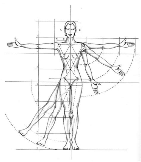 Figure Drawing For Fashion Design By Elisabetta Drudi Body Proportion