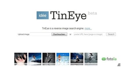 Tineye Bildersuche Rückwärts Netzmelder
