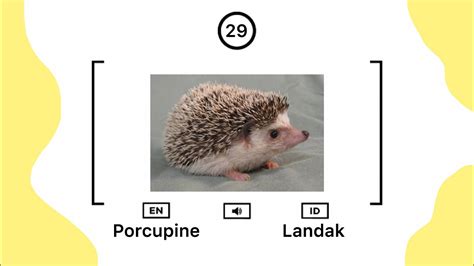 Maybe you would like to learn more about one of these? 130 JENIS HEWAN/ANIMALS DALAM BAHASA INGGRIS - YouTube