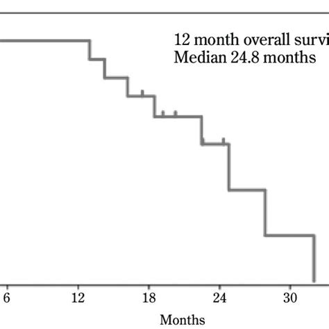 Kaplanmeier Curve Showing Overall Survivalosof All Glioblastoma
