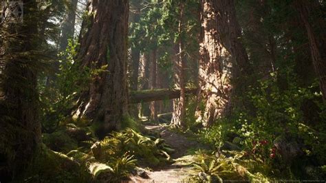 Artstation Ue4 Redwood Forest V2 Update Willi Hammes Redwood