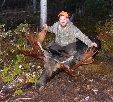 Trophy Moose Hunting Photos From Maine At Ross Lake Camps