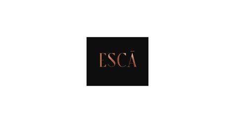 Jobs And Careers At Esca Egypt Wuzzuf