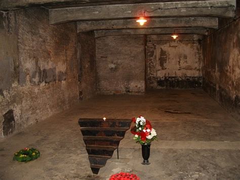 Archaeologist At Nazi Death Camp Finds Evidence Of Gas Chambers
