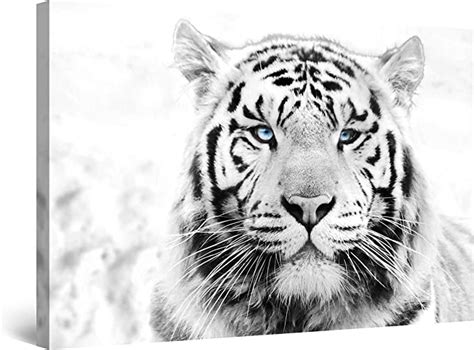 Startonight Canvas Wall Art Daydream Tiger Animals