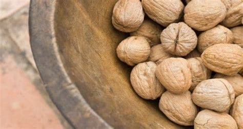 Walnuts Could Help Boost Your Sex Life Every Blogger
