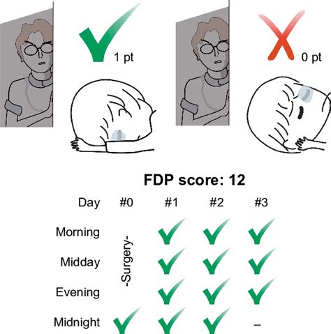 Fdp Score Notes Patients Were Given 1 Point Every Time They Followed