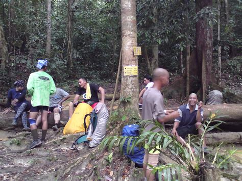 If you have enough courage to ascend and descend mountains, cross over rivers, long distance trekking and camp for days. freakyfrolic: MARI MEREDAH DAN MENDAKI GUNUNG TAHAN 5 ...