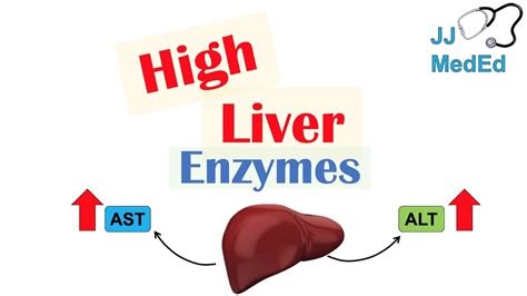 Normal Liver Enzymes Levels Chart Fatty Liver