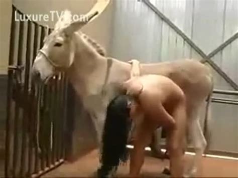 Donkey Sex Shows Telegraph