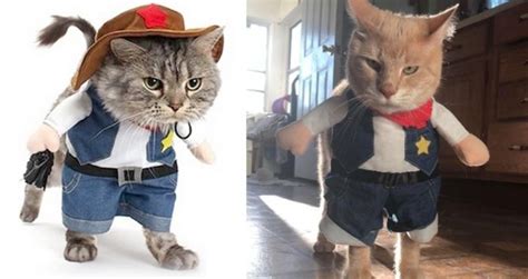 This Cowboy Cat Costume Turns Your Kitty Into The Cutest Gunslinger In
