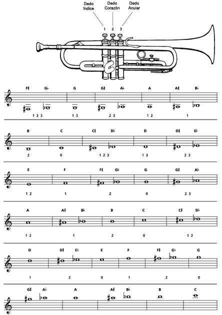 Como Realizar Las Posiciones De Las Notas En La Trompeta Musifanaticos