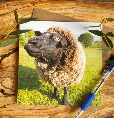 Sheep Greeting Card Sheep On A Card Birthday Card Sheep Etsy Uk
