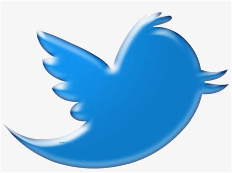 Twitter Bird Logo Png Transparent Background Vector Twitter Bird Logo