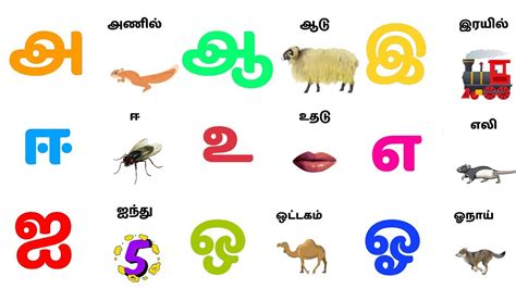 அஆஇஈ சொற்கள் Uyir Ezhuthukal Words With Examples Tamil Alphabets For