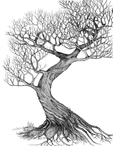 Twisting Tree By Ellfi On DeviantART Oak Tree Drawings Tree Drawing Tree Sketches