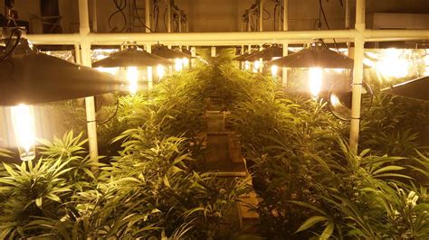 But also i think i could diy one out cheaper. Basement grow room tips for noise control for the indoor grow setup include strips of insulation ...